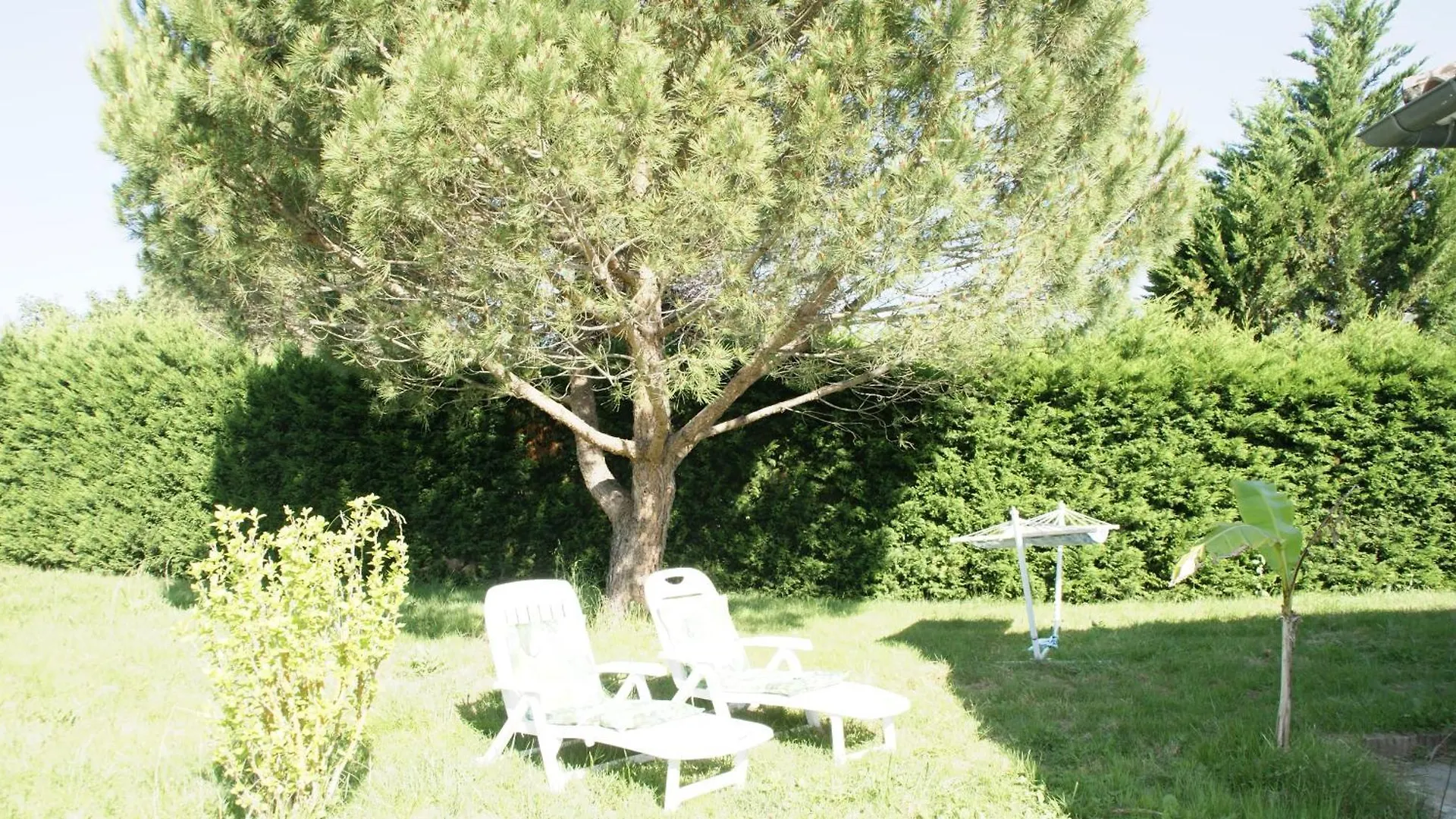 La Maison Des Hirondelles, Piscine, Billard, Ping Pong, 3 Terrasses Et Jardin モントーバン 0*,